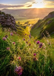 winnats pass, beautiful flowers, flower background, peak district, derbyshire, valley, countryside, sunshine, sunrise, landscape, summer, road, thistles, flowers, flower wallpaper, nature, sunlight